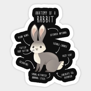 Rabbit Anatomy Sticker